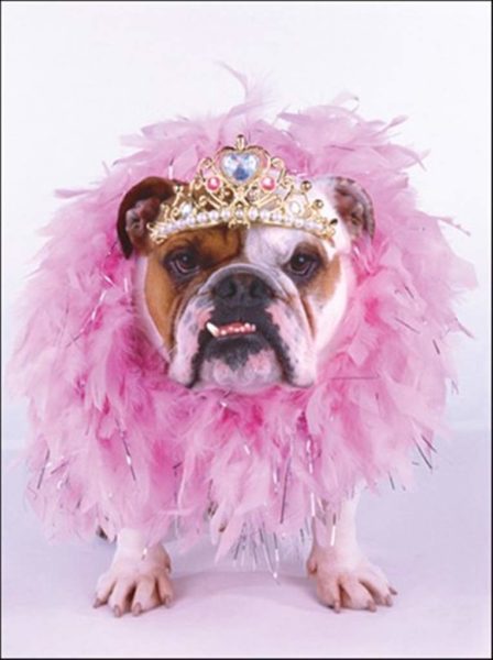 pinktutu pinktutu
