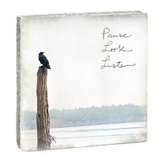 Cedar Mountain - Art Block/Pause Look Listen