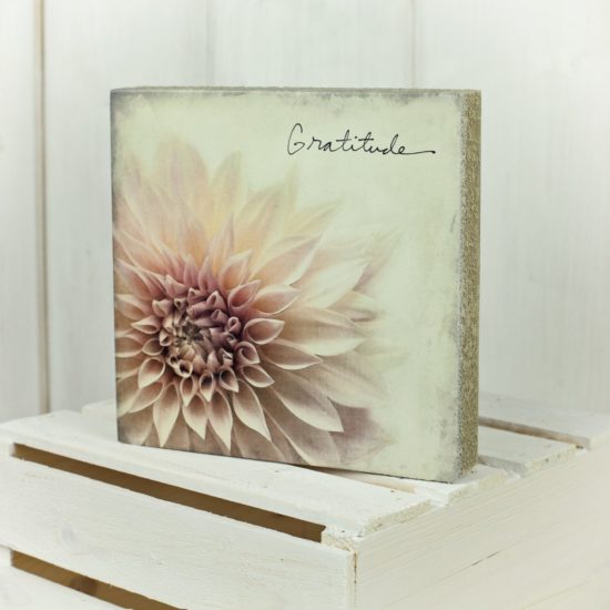 Cedar Mountain - Art Block/Gratitude