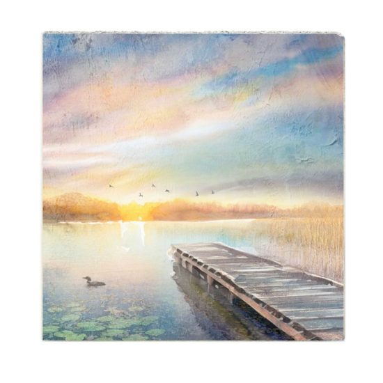 Cedar Mountain - Art Block / Dock