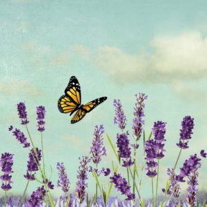 art block lost found lavender butterfly 672016 image Made in Canada
