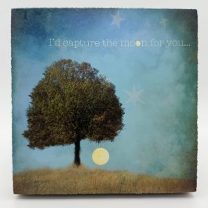 Cedar Mountain - Art Block / Capture the Moon